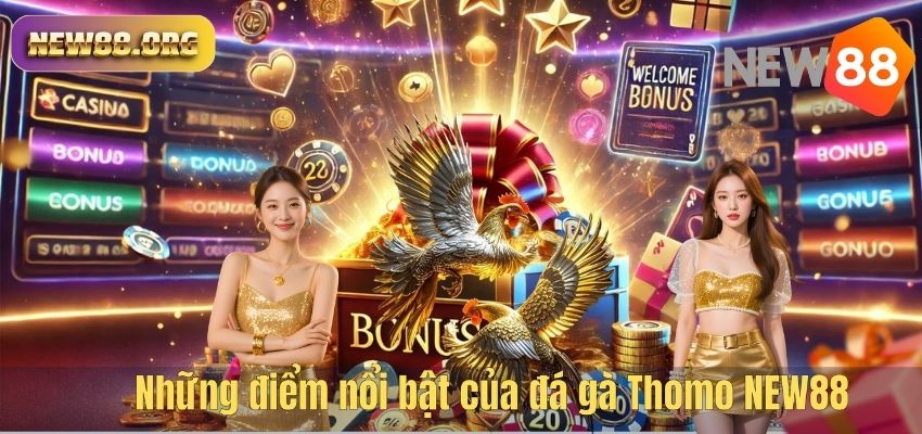 Đá Gà Thomo NEW88 – Đấu Trường Chọi Gà Kịch Tính Hàng Đầu 2026 Những điểm nổi bật của đá gà Thomo NEW88