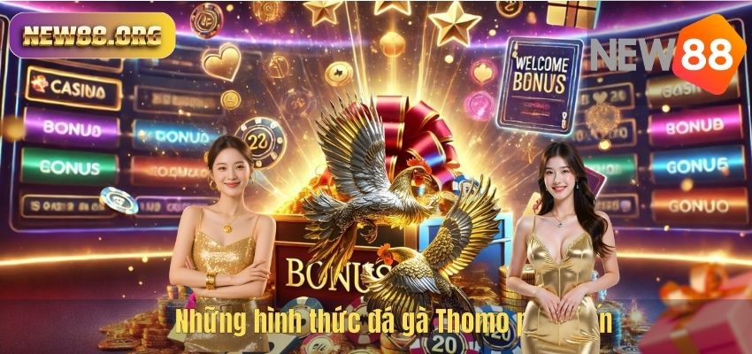 Đá Gà Thomo NEW88 – Đấu Trường Chọi Gà Kịch Tính Hàng Đầu 2026 Những hình thức đá gà Thomo phổ biến
